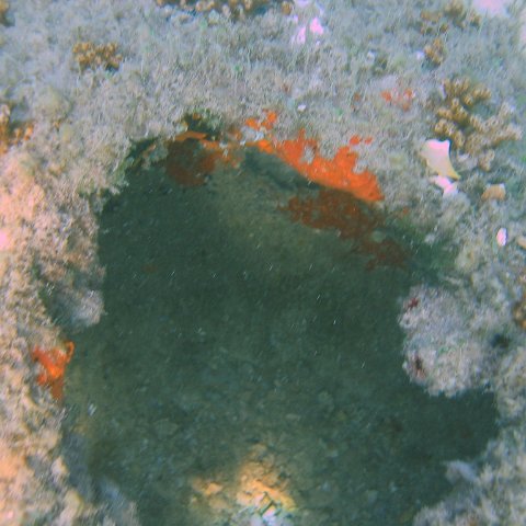 img_0716 img_0716