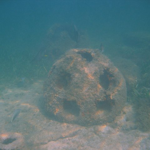 img_0723 img_0723