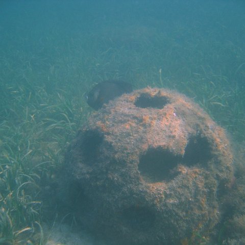 img_0729 img_0729