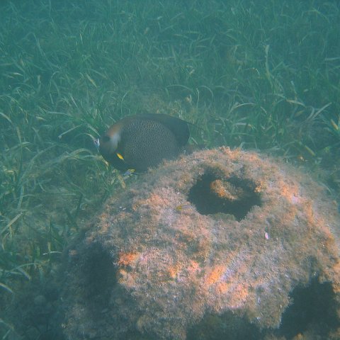 img_0730 img_0730