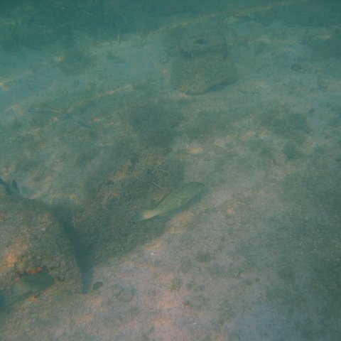 img_0733 img_0733