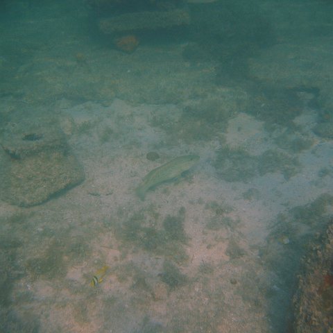 img_0735 img_0735
