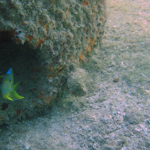img_0738 img_0738