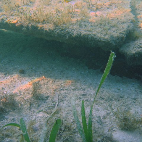img_0739 img_0739