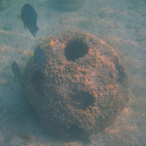 img_0743 img_0743