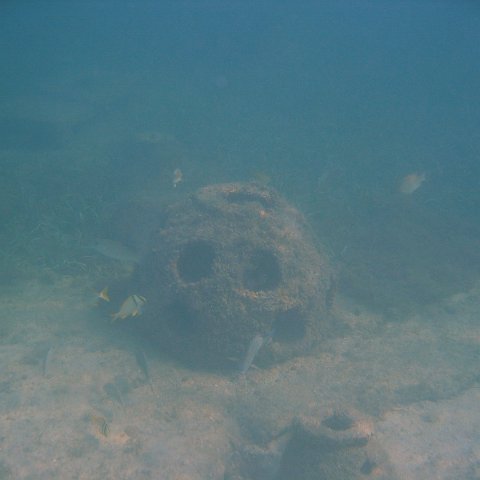 img_0758 img_0758