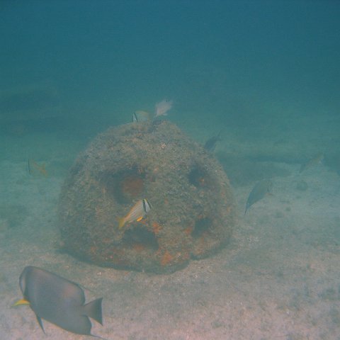 img_0769 img_0769