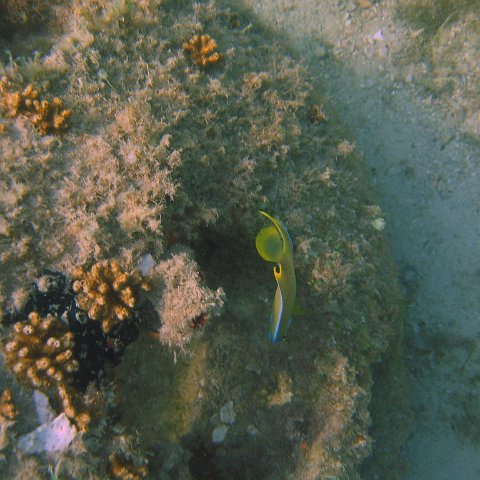 img_0776 img_0776