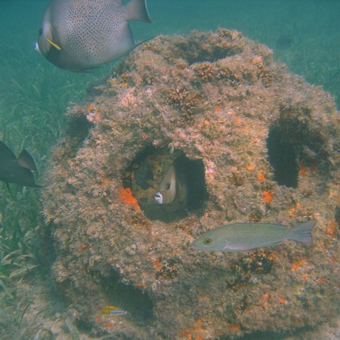 img_0786 img_0786