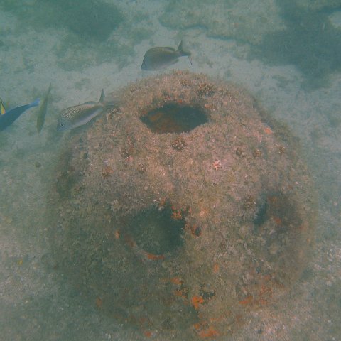 img_0788 img_0788