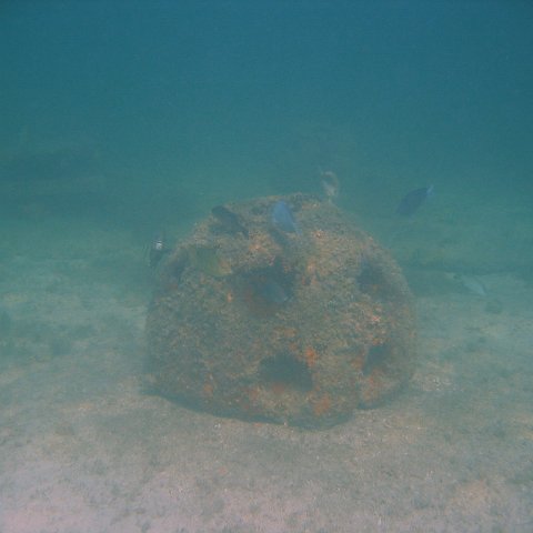 img_0797 img_0797