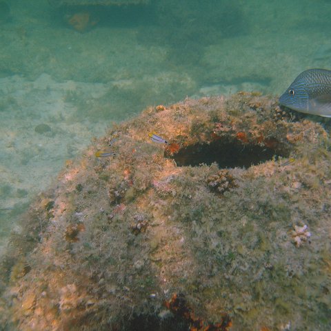 img_0800 img_0800