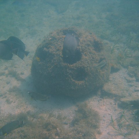 img_0802 img_0802