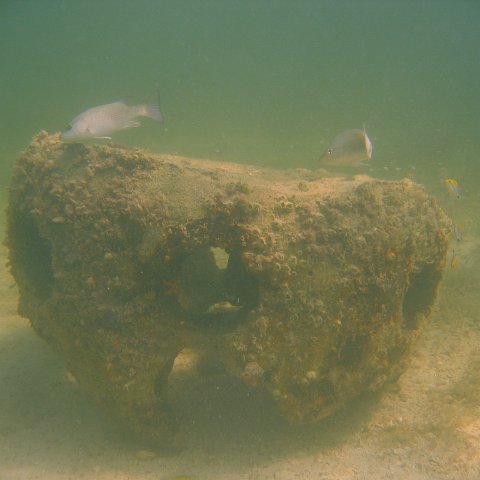 img_0807 img_0807