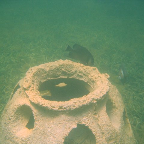 img_0870 img_0870