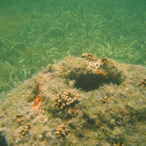 img_0876 img_0876