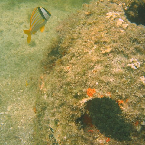 img_0882 img_0882