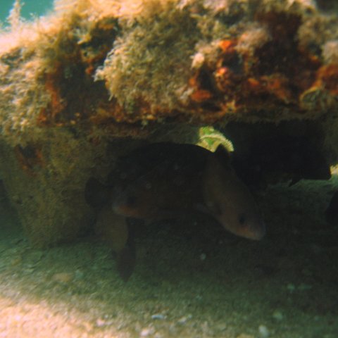img_0888 img_0888