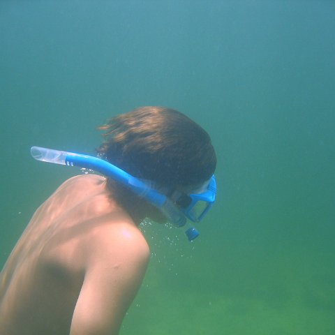 img_0889 img_0889
