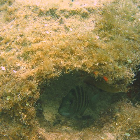 img_0894 img_0894