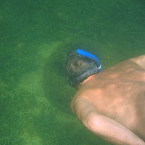 img_0900 img_0900