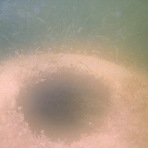 img_0910 img_0910