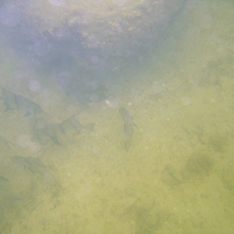 img_0937 img_0937