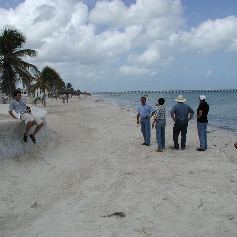 p9140039