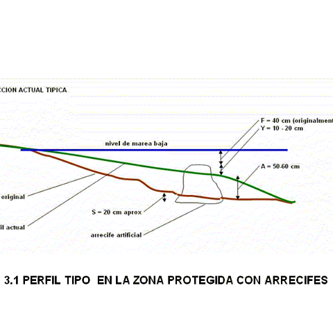 comportamiento_del_dique_sumergido_en_el_tramo_piloto_de_rehabil