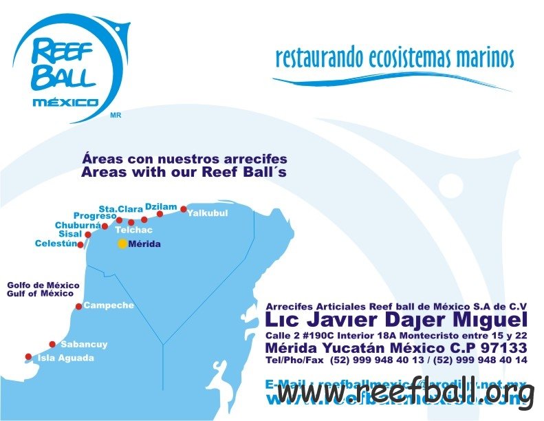 reef%20ball%20mexico%20screen