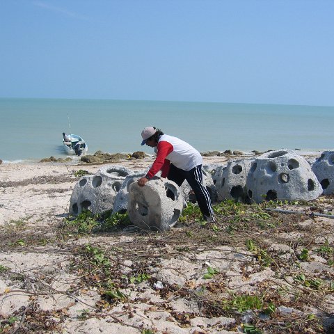 img_0559 img_0559