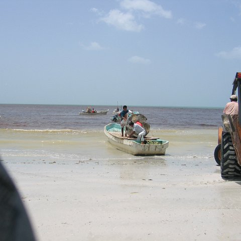 img_1036 img_1036