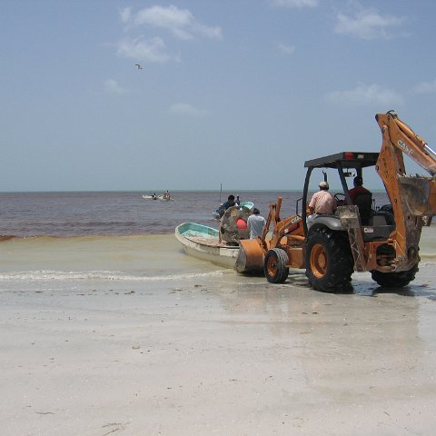 img_1039 img_1039