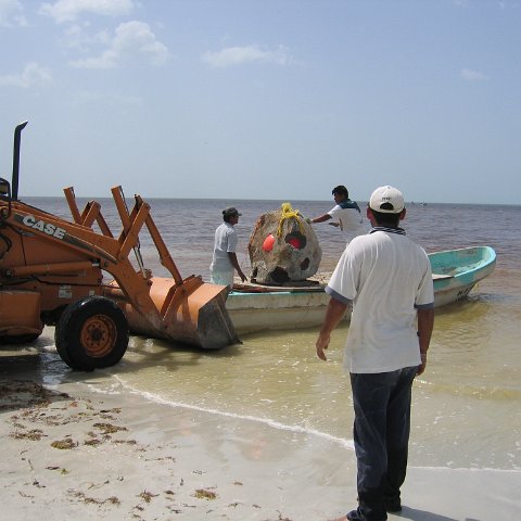 img_1050 img_1050