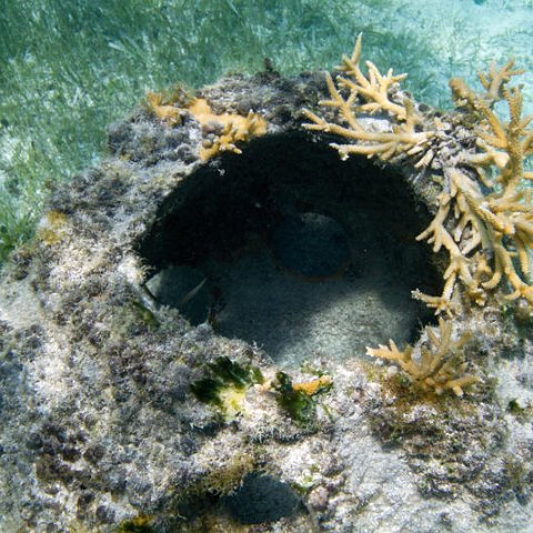 IMG_7172 IMG_7172
