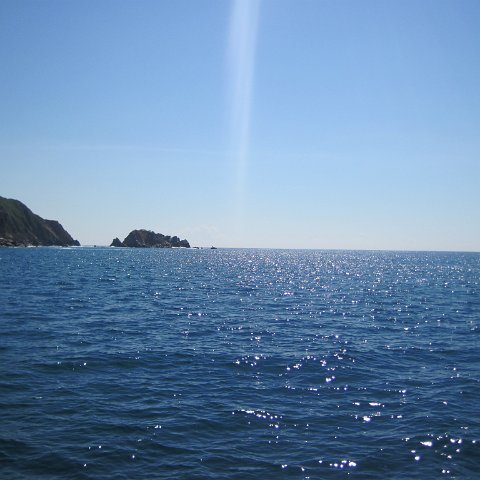 IMG_0645 IMG_0645