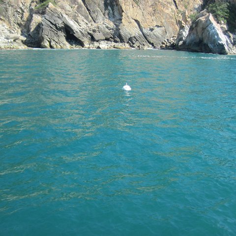 IMG_0648 IMG_0648