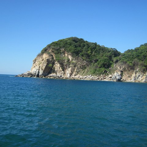 IMG_0650 IMG_0650