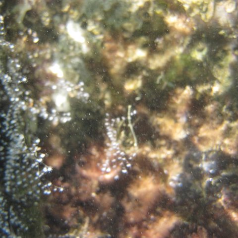 IMG_0697 IMG_0697