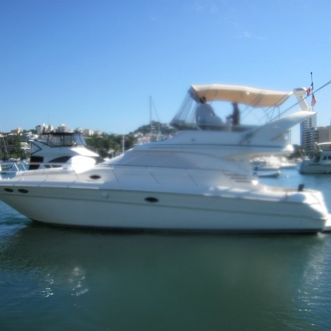 IMG_0702 IMG_0702