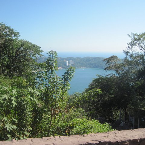 IMG_0713 IMG_0713