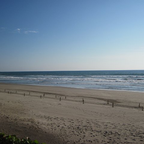 IMG_0799 IMG_0799