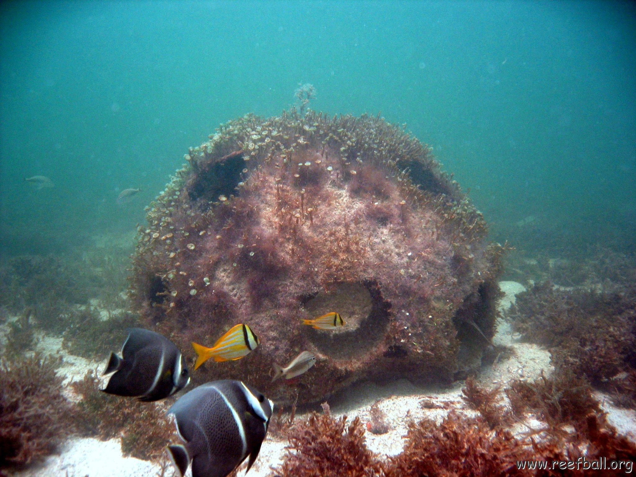 Bay Ball Lerma Campeche May 2007