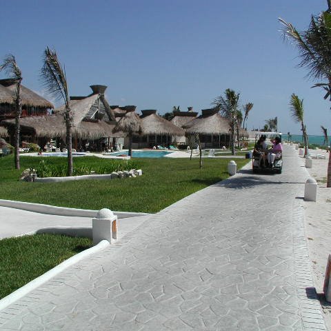 P8313098 P8313098