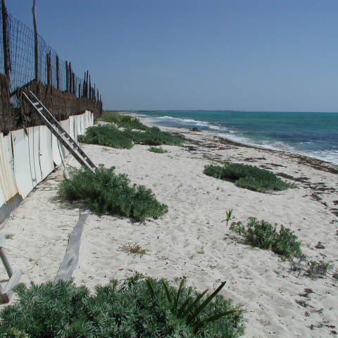 P8313100 P8313100