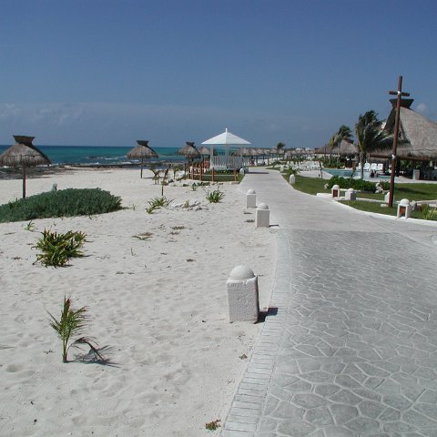 P8313102 P8313102