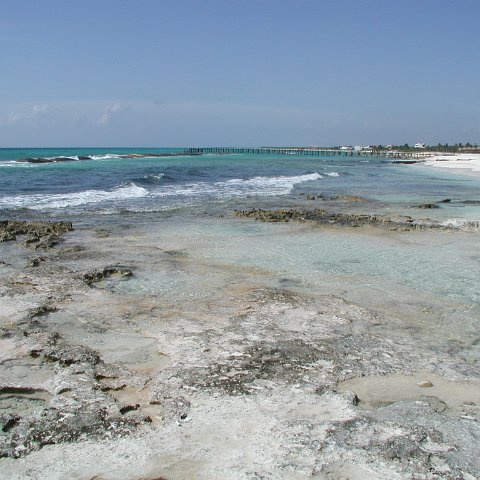 P8313103 P8313103