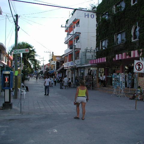 P8313205 P8313205