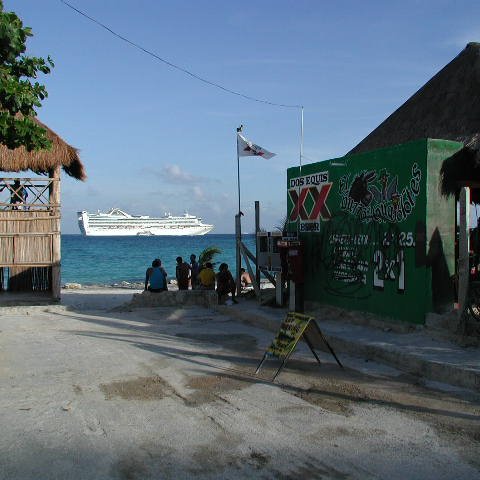 P8313206 P8313206