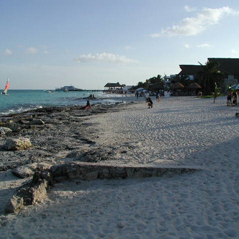 P8313208 P8313208